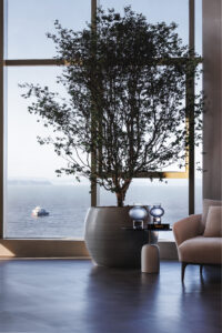 Lounge T02 Lazer 02
